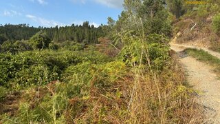 Terreno para venda em Sertã, Portugal — 5000 €