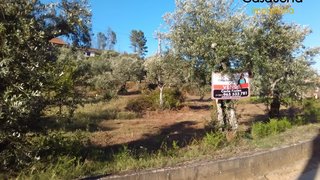 Land for sale in Proença-a-Nova, Portugal — €15,000
