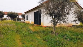 Land for sale in Sertã, Portugal — €128,000