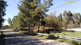 Land for sale in Sertã, Portugal — €14,000