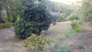 Land for sale in Proença-a-Nova, Portugal — €19,750