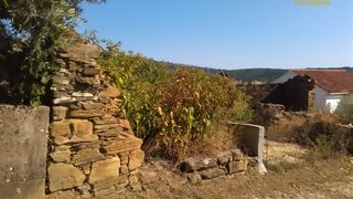 Land for sale in Sertã, Portugal — €7,900