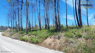 Land for sale in Sertã, Portugal — €75,000
