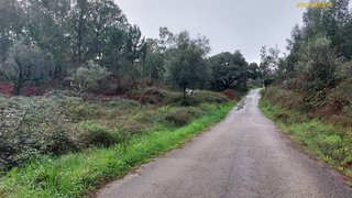 Land for sale in Sertã, Portugal — €8,950