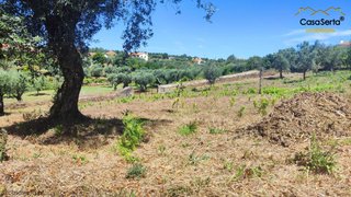 Land for sale in Sertã, Portugal — €49,900