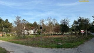 Land for sale in Sertã, Portugal — €22,700