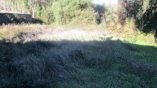 Land for sale in Sertã, Portugal — €3,750
