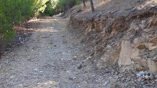 Land for sale in Sertã, Portugal — €16,305