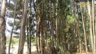 Land for sale in Pedrógão Grande, Portugal — €19,300