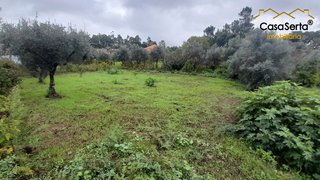Land for sale in Sertã, Portugal — €19,500