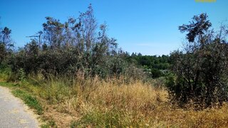 Land for sale in Sertã, Portugal