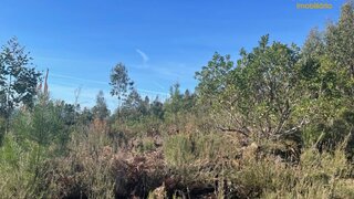 Land for sale in Sertã, Portugal — €13,000