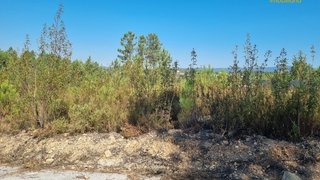 Land for sale in Proença-a-Nova, Portugal — €18,000