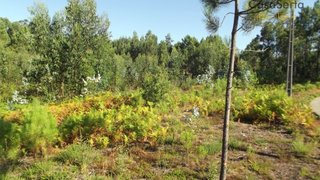 Land for sale in Sertã, Portugal — €45,000