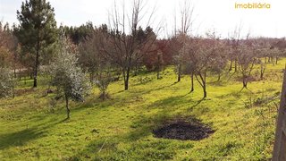 Land for sale in Pedrógão Grande, Portugal — €33,800