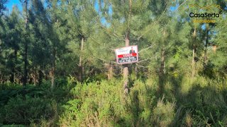 Land for sale in Sertã, Portugal — €5,000