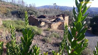 Land for sale in Pampilhosa da Serra, Portugal — €13,500