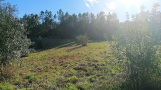 Land for sale in Sertã, Portugal — €38,000