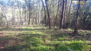 Land for sale in Sertã, Portugal — €19,000