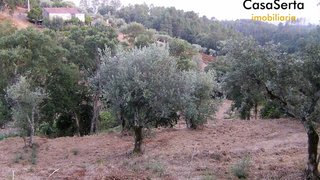 Land for sale in Sertã, Portugal — €32,300