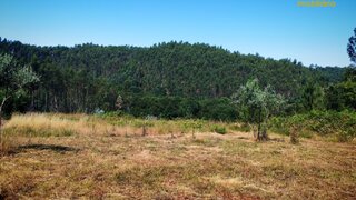 Land for sale in Pedrógão Grande, Portugal — €75,000