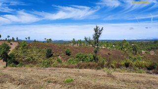 Land for sale in Sertã, Portugal — €9,900