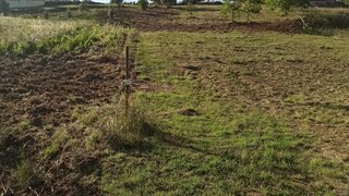 Land for sale in Pombal, Portugal — €39,999
