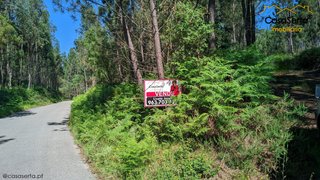 Land for sale in Sertã, Portugal — €60,000