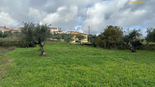Land for sale in Sertã, Portugal — €15,000