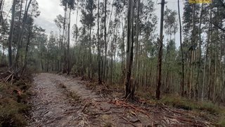 Land for sale in Sertã, Portugal — €4,500