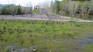 Land for sale in Sertã, Portugal — €55,000