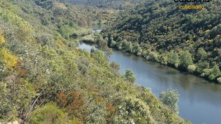 Land for sale in Castelo Branco, Portugal — €14,500