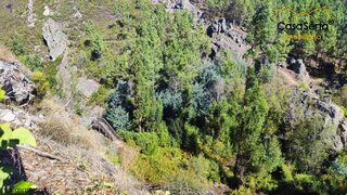 Land for sale in Sertã, Portugal — €10,900