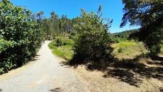 Land for sale in Sertã, Portugal — €15,000