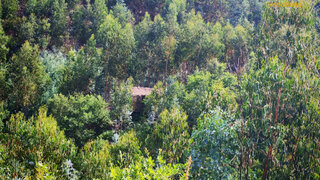 Land for sale in Sertã, Portugal — €30,000