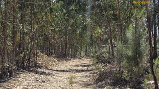 Terreno em Proença-a-Nova