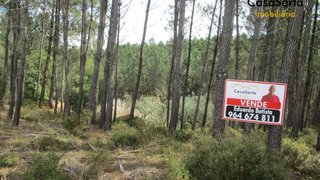 Land for sale in Pedrógão Grande, Portugal — €55,000