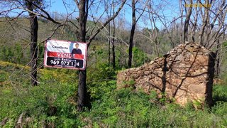 Terreno para venda em Pedrógão Grande, Portugal — 60 500 €