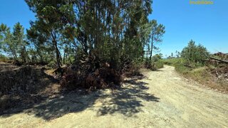 Land for sale in Proença-a-Nova, Portugal — €100,000
