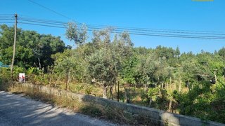 Terreno para venda em Sertã, Portugal — 65 000 €