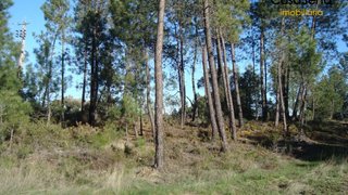 Land for sale in Mação, Portugal — €19,900