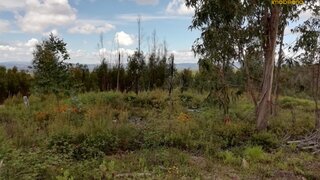 Land for sale in Sertã, Portugal — €2,100