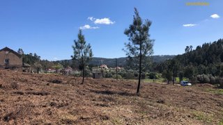 Land for sale in Sertã, Portugal — €37,500