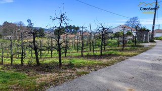 Land for sale in Ferreira do Zêzere, Portugal — €40,000