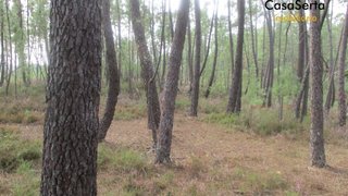 Land for sale in Sertã, Portugal — €24,500