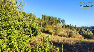 Land for sale in Sertã, Portugal — €6,900