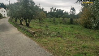 Land for sale in Sertã, Portugal — €35,000