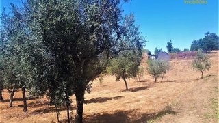 Land for sale in Sertã, Portugal — €17,500