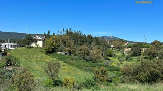 Land for sale in Proença-a-Nova, Portugal — €75,000