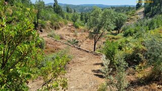 Land for sale in Sertã, Portugal — €26,000